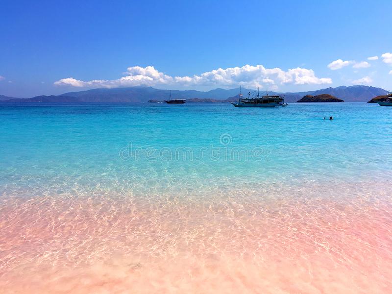 Discover the Magic of Komodo: Top Attractions and Insider&nbsp;Tips